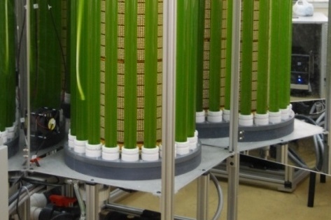 Описание изображения